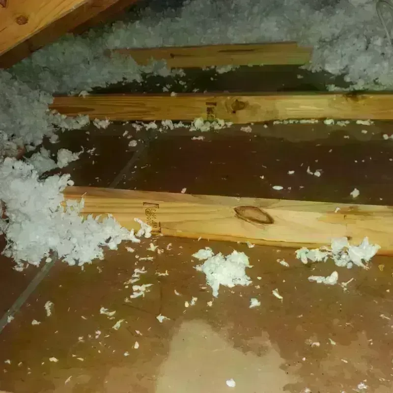 Attic Water Damage in Glassport, PA